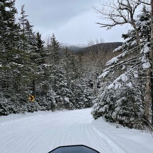 Meet your Posher, Carl